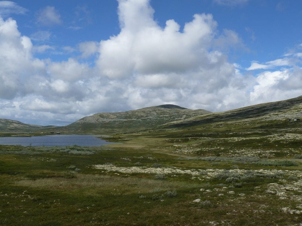 Camperreis Noorwegen: Rondane Route