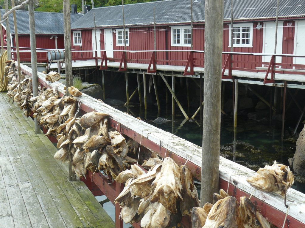 Camperreis Noorwegen: Nusfjord