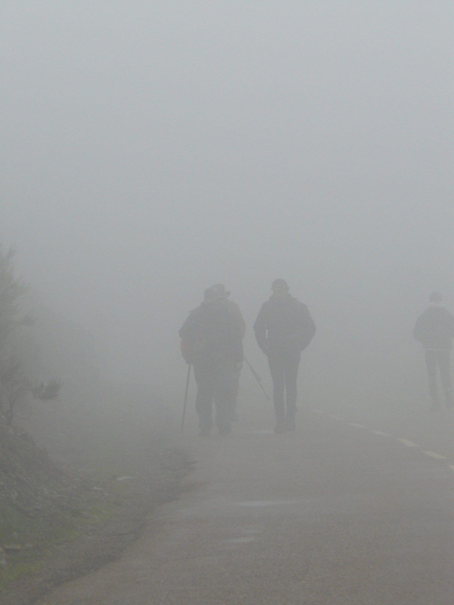 Pelgrims op de Camino in de mist