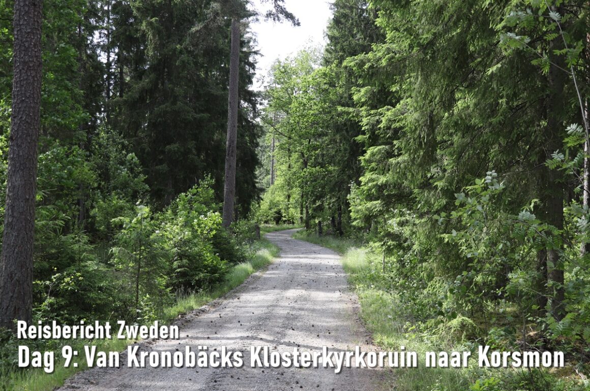 Dag 9: Van Kronobäcks Klosterkyrkoruin naar Korsmon